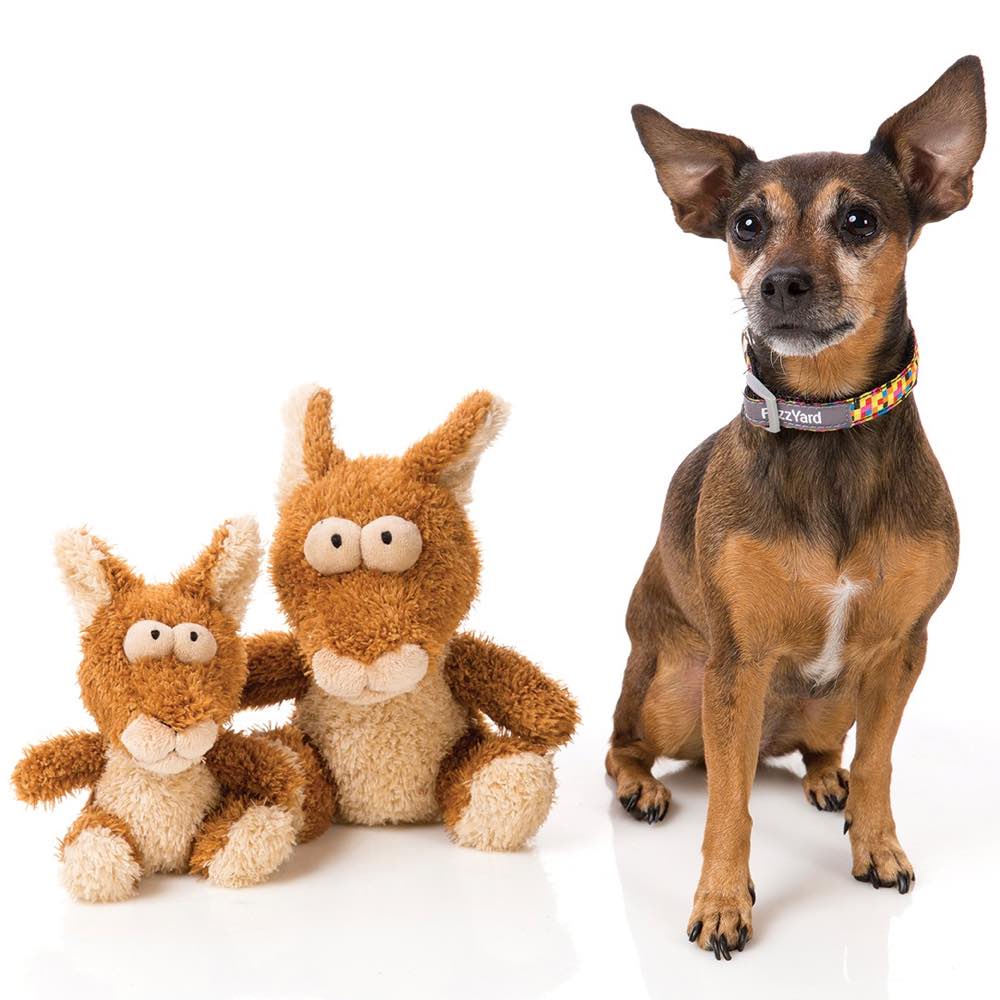 FuzzYard Bounce Plush Dog Toy