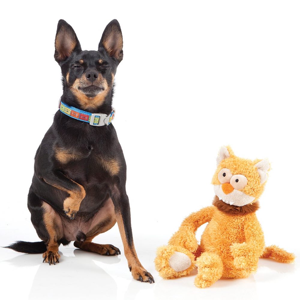 FuzzYard Chase Plush Dog Toy