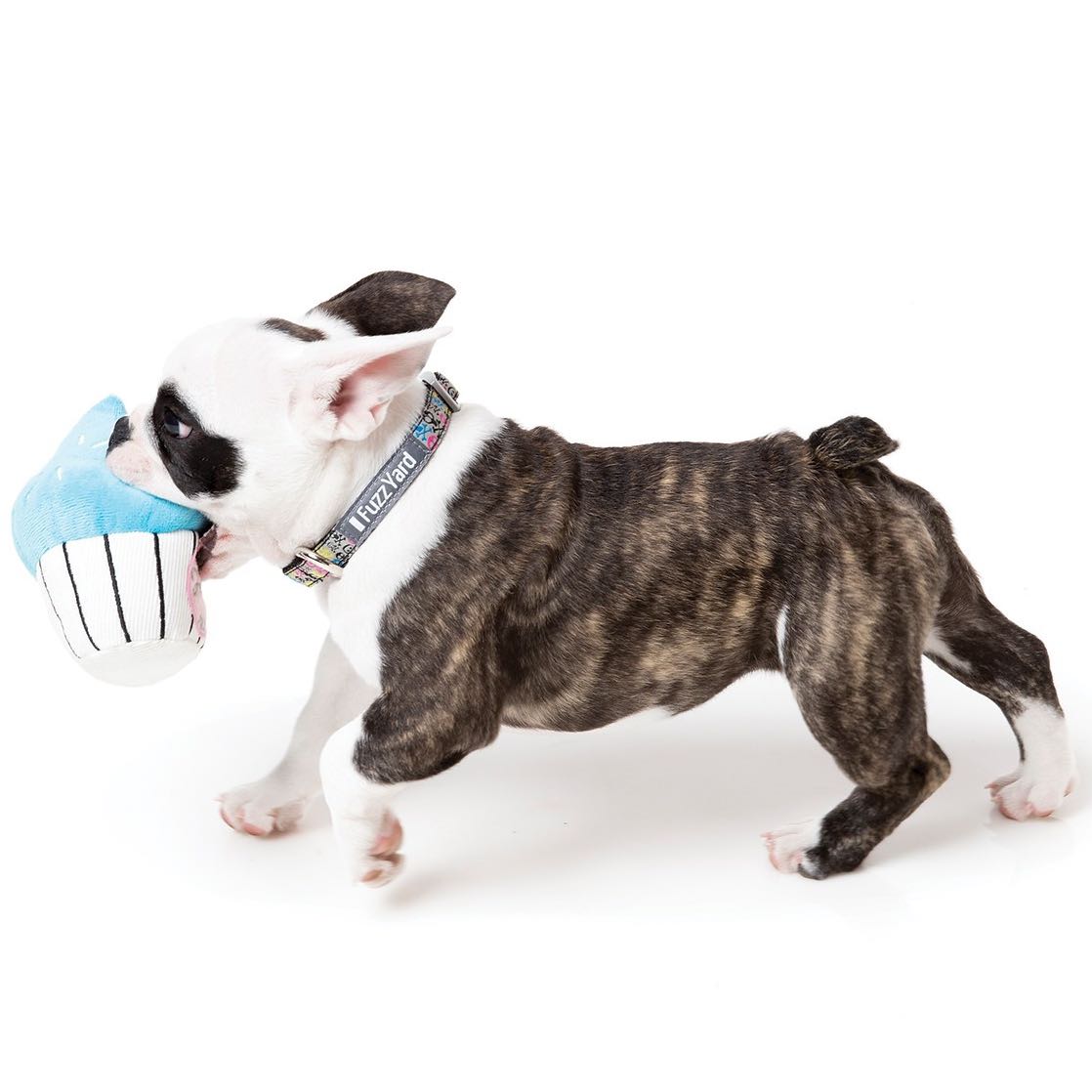 FuzzYard Cupcake Plush Dog Toy - Blue