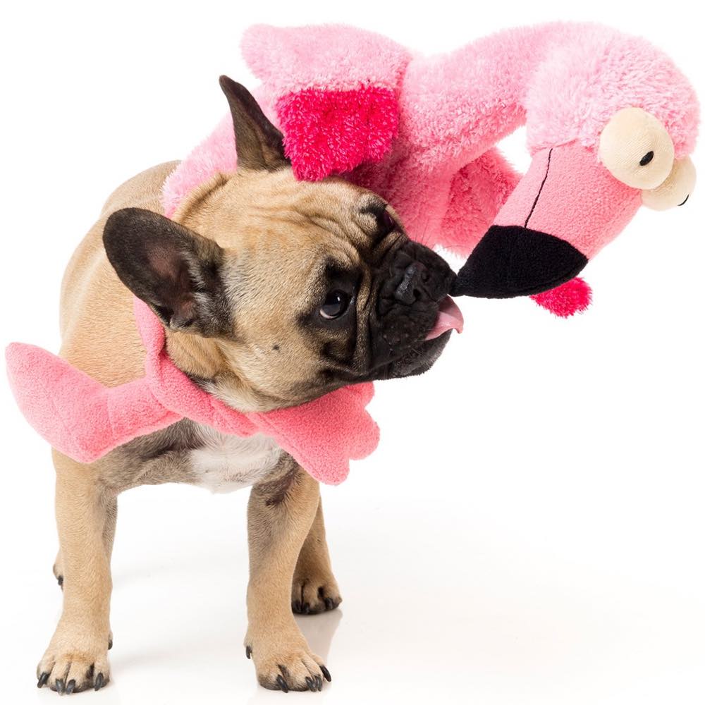 FuzzYard Flo Plush Dog Toy (discontinued)
