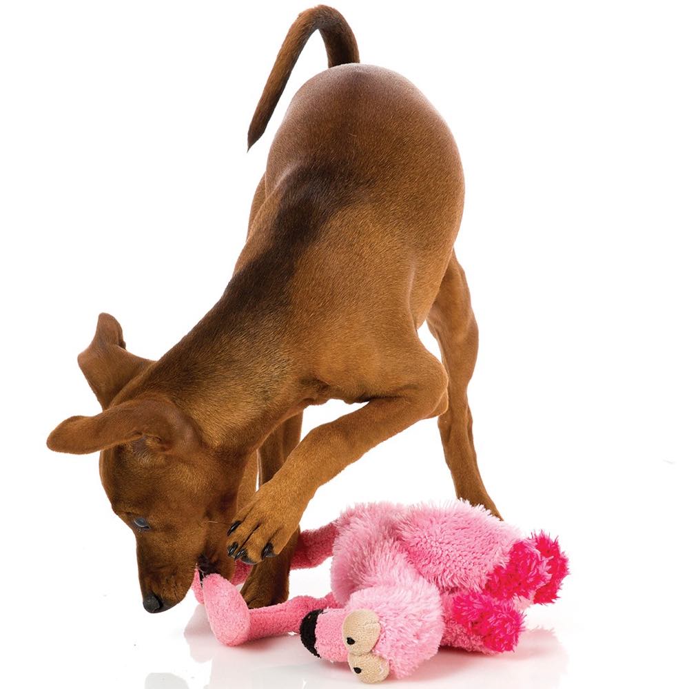 FuzzYard Flo Plush Dog Toy (discontinued)