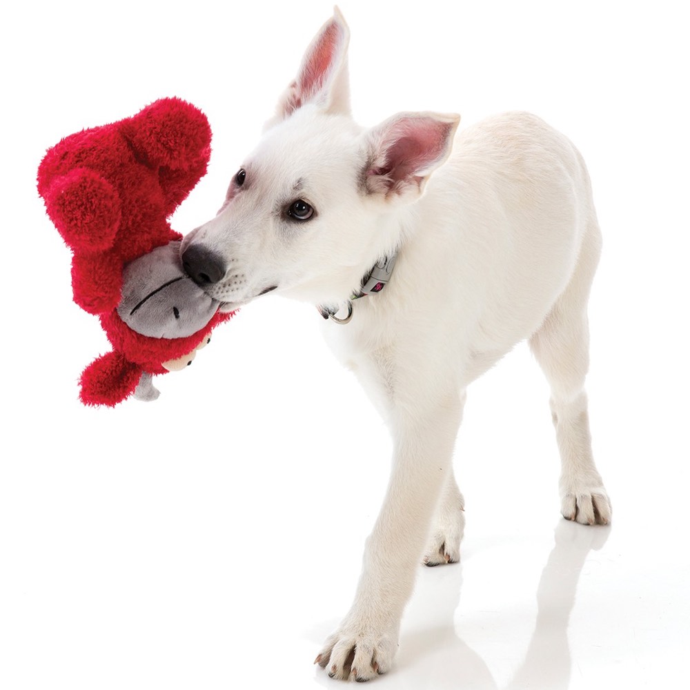 FuzzYard Jordan Plush Dog Toy