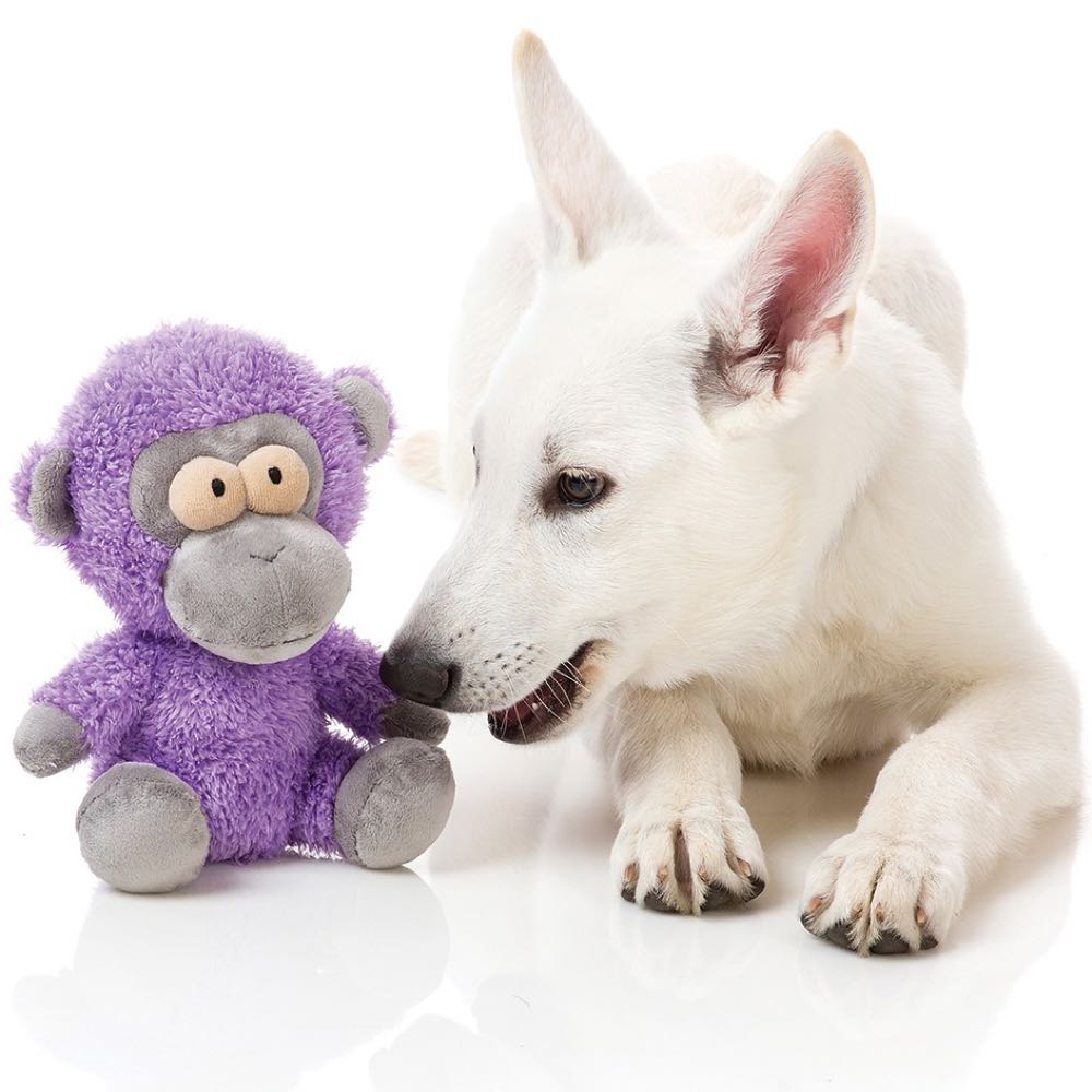 FuzzYard Magic Plush Dog Toy