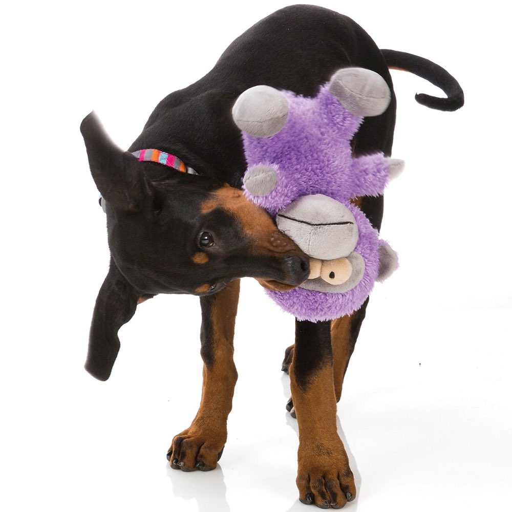 FuzzYard Magic Plush Dog Toy