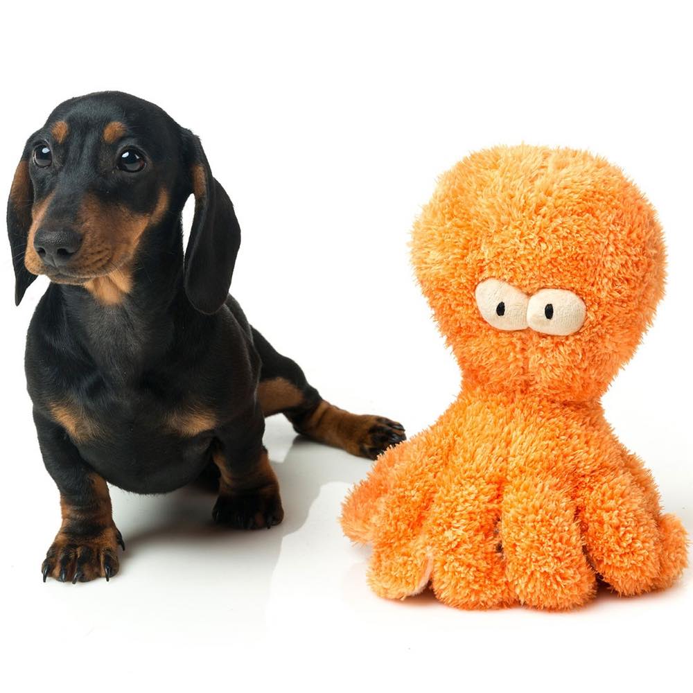 FuzzYard Sir Legs-A-Lot Plush Dog Toy