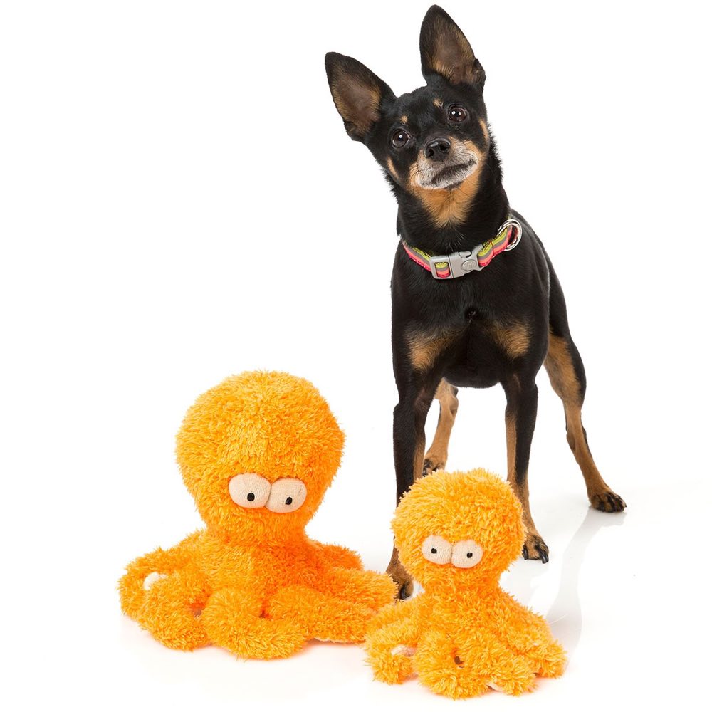 FuzzYard Sir Legs-A-Lot Plush Dog Toy