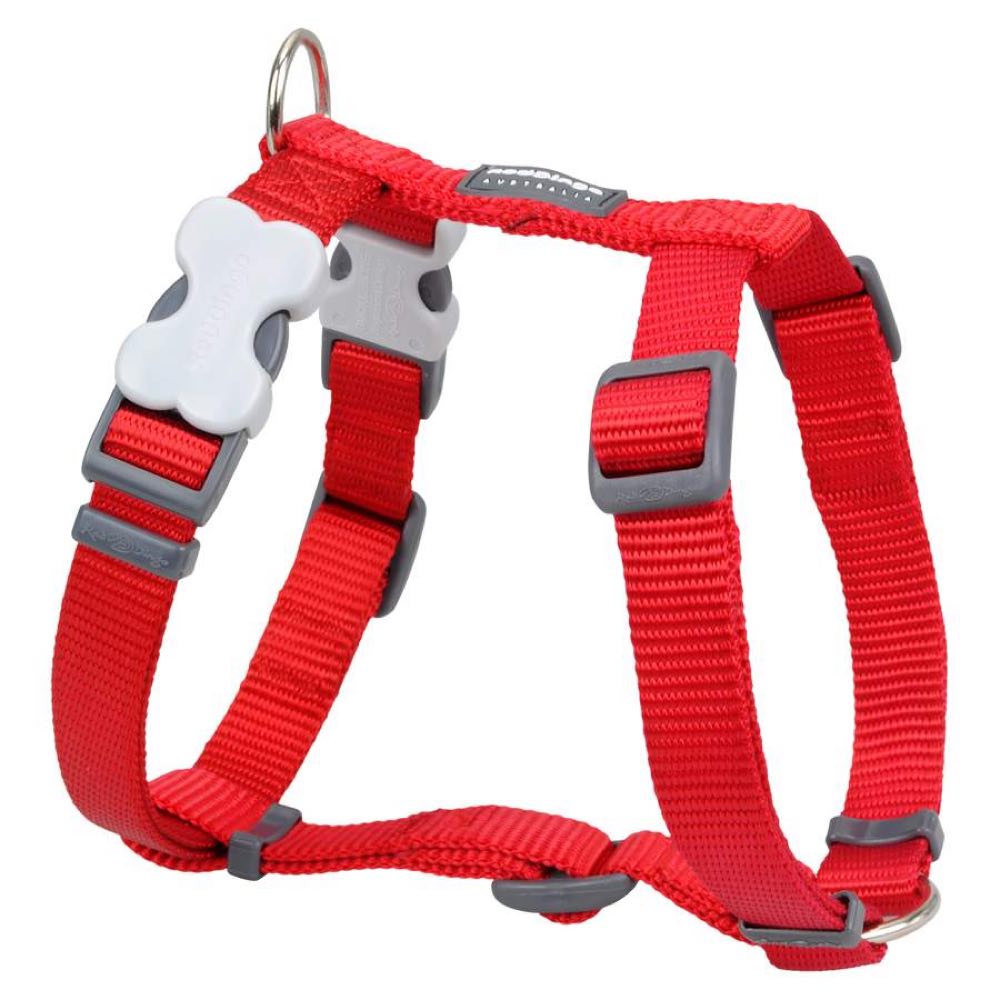 Red Dingo Classic Dog Harness 25mm
