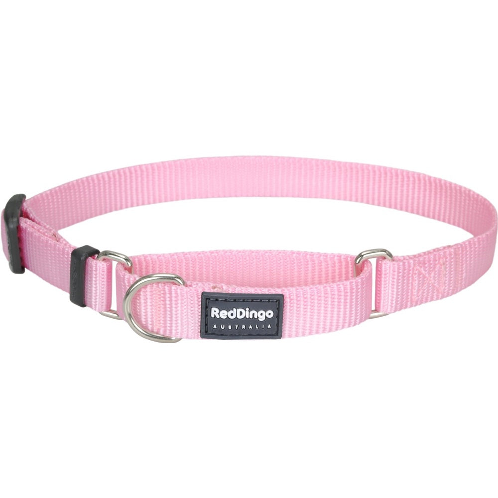 Red Dingo Classic Martingale Dog Collar 25mm