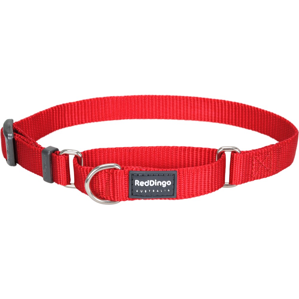 Red Dingo Classic Martingale Dog Collar 25mm