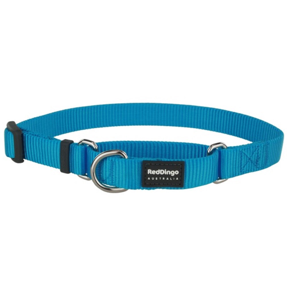 Red Dingo Classic Martingale Dog Collar 20mm