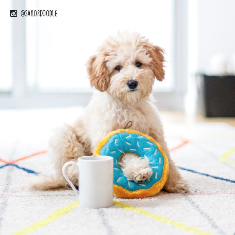 ZippyPaws Donutz Dog Toy