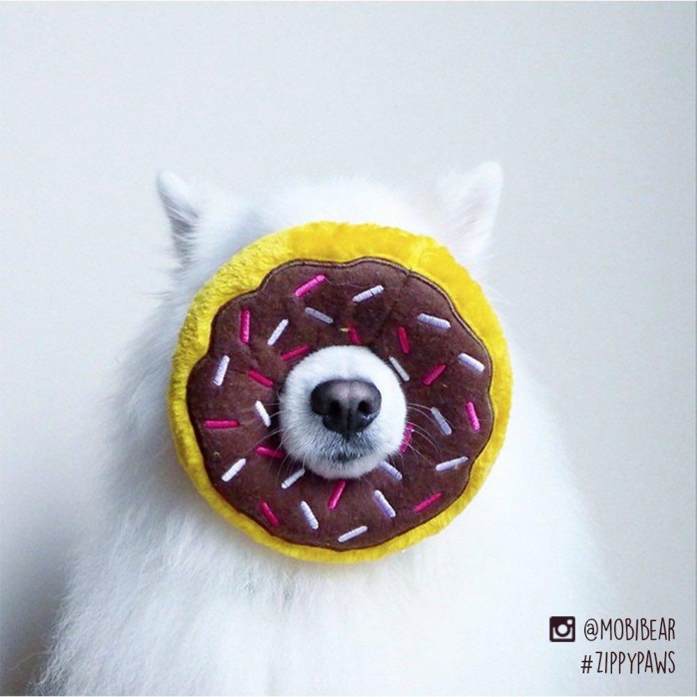 ZippyPaws Donutz Dog Toy