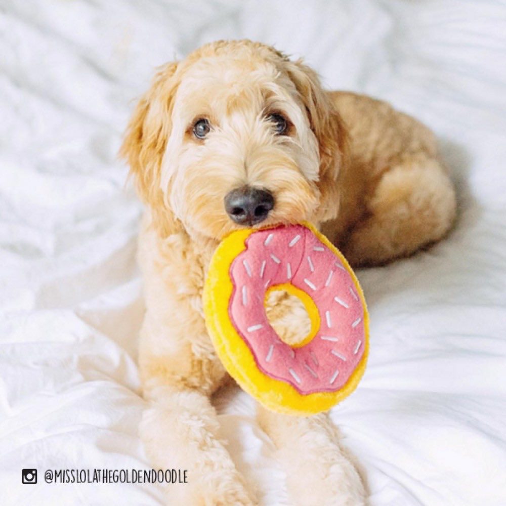 ZippyPaws Donutz Dog Toy